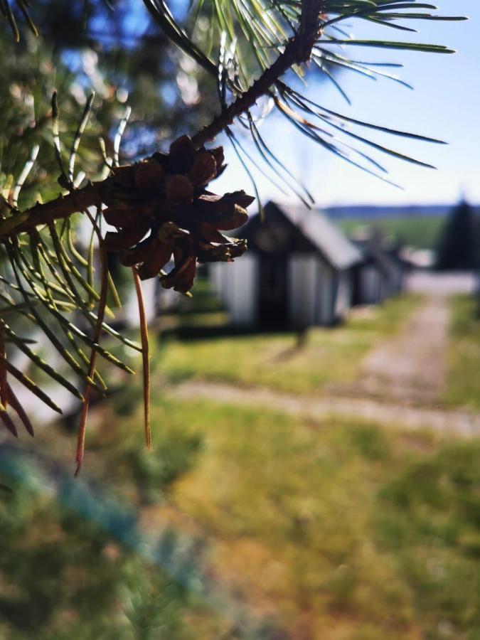 Отель Cyklocamp Pod Landstejnem Stare Mesto  Экстерьер фото
